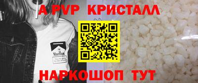 дживик Кингисепп