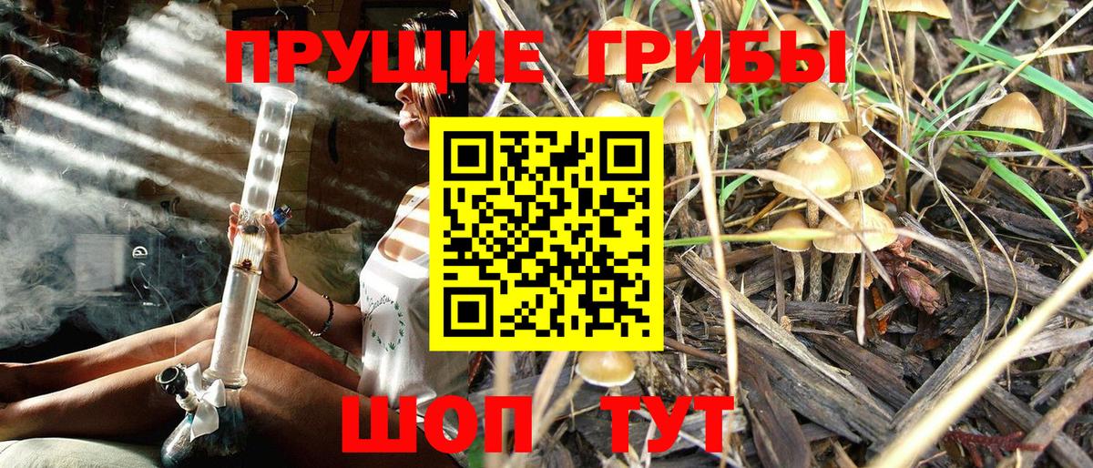 Чебоксары  где найти   Псилоцибиновые грибы мицелий  Вход с VPN  Галлюциногенные грибы мицелий 